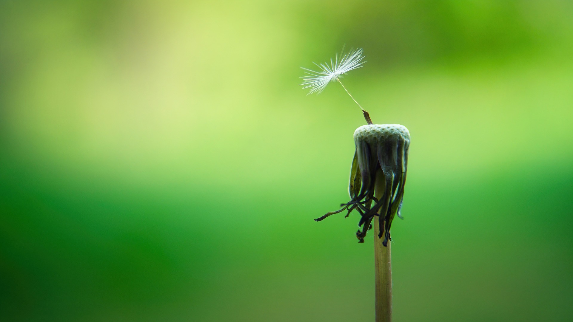 Living in the Present: The Art of Mindfulness